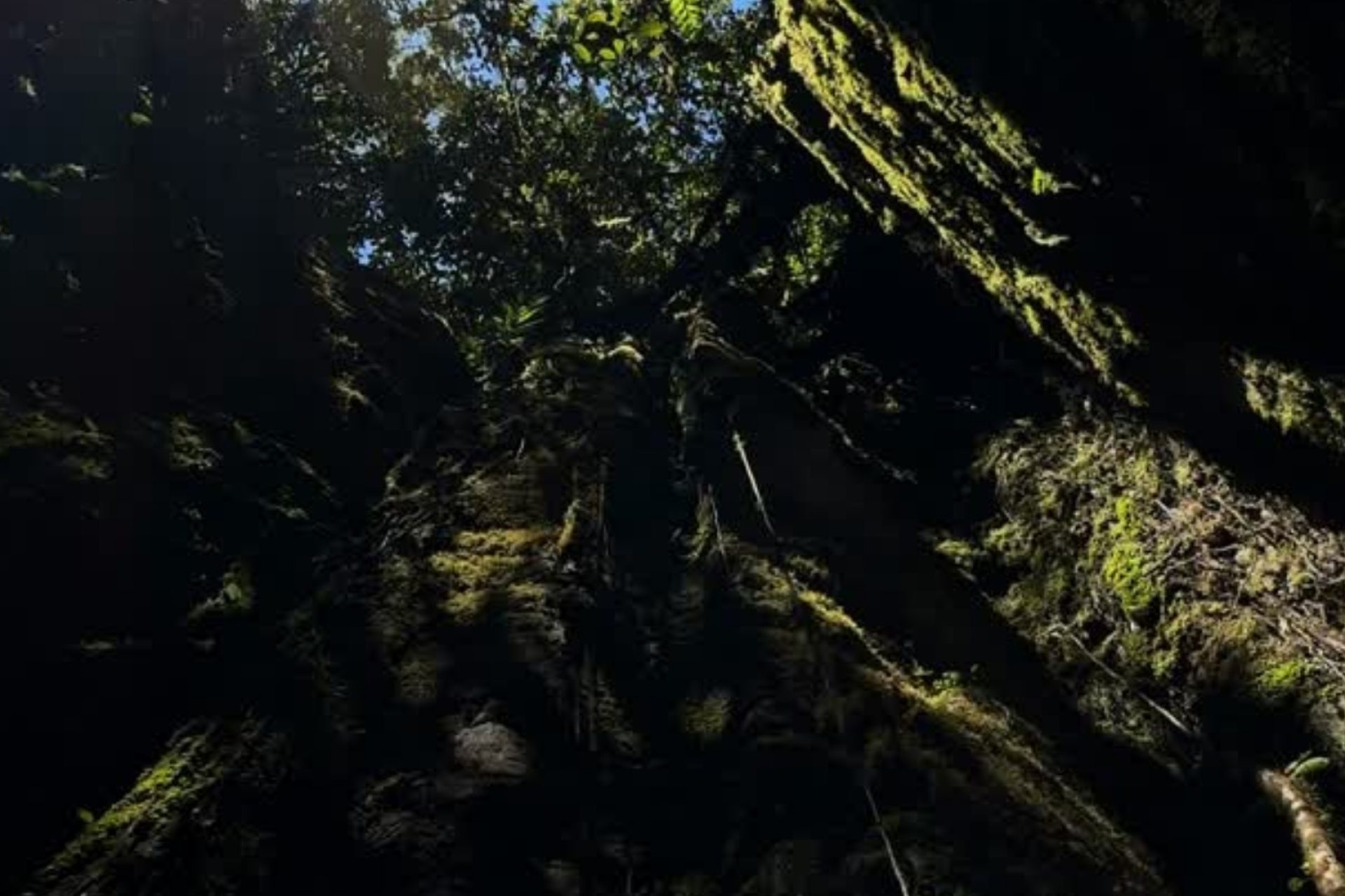 laberinto de los gigantes (2)